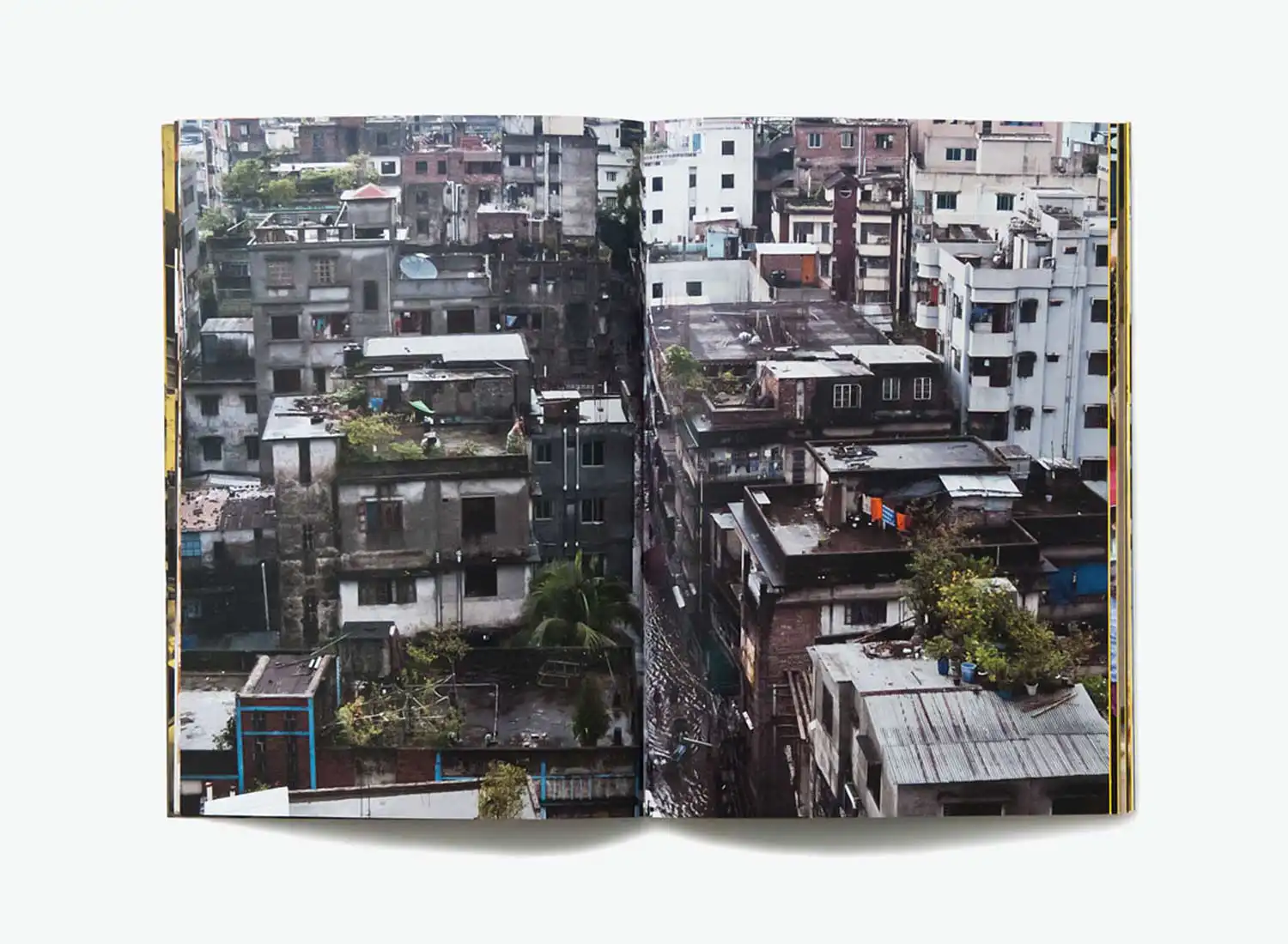 第14回アジアン・アート・ビエンナーレバングラデシュ 2010