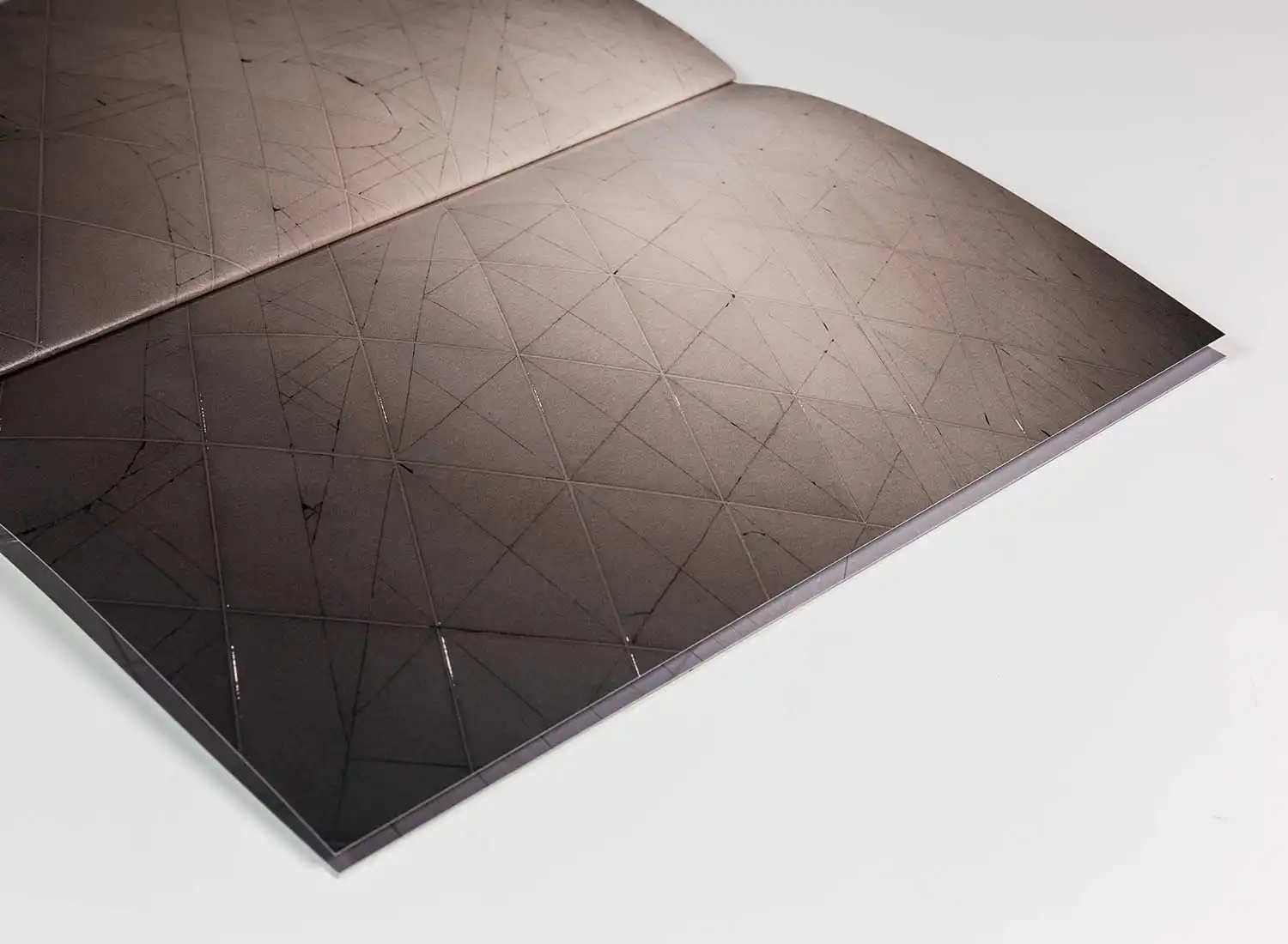 中村裕太 豆腐と油揚げ