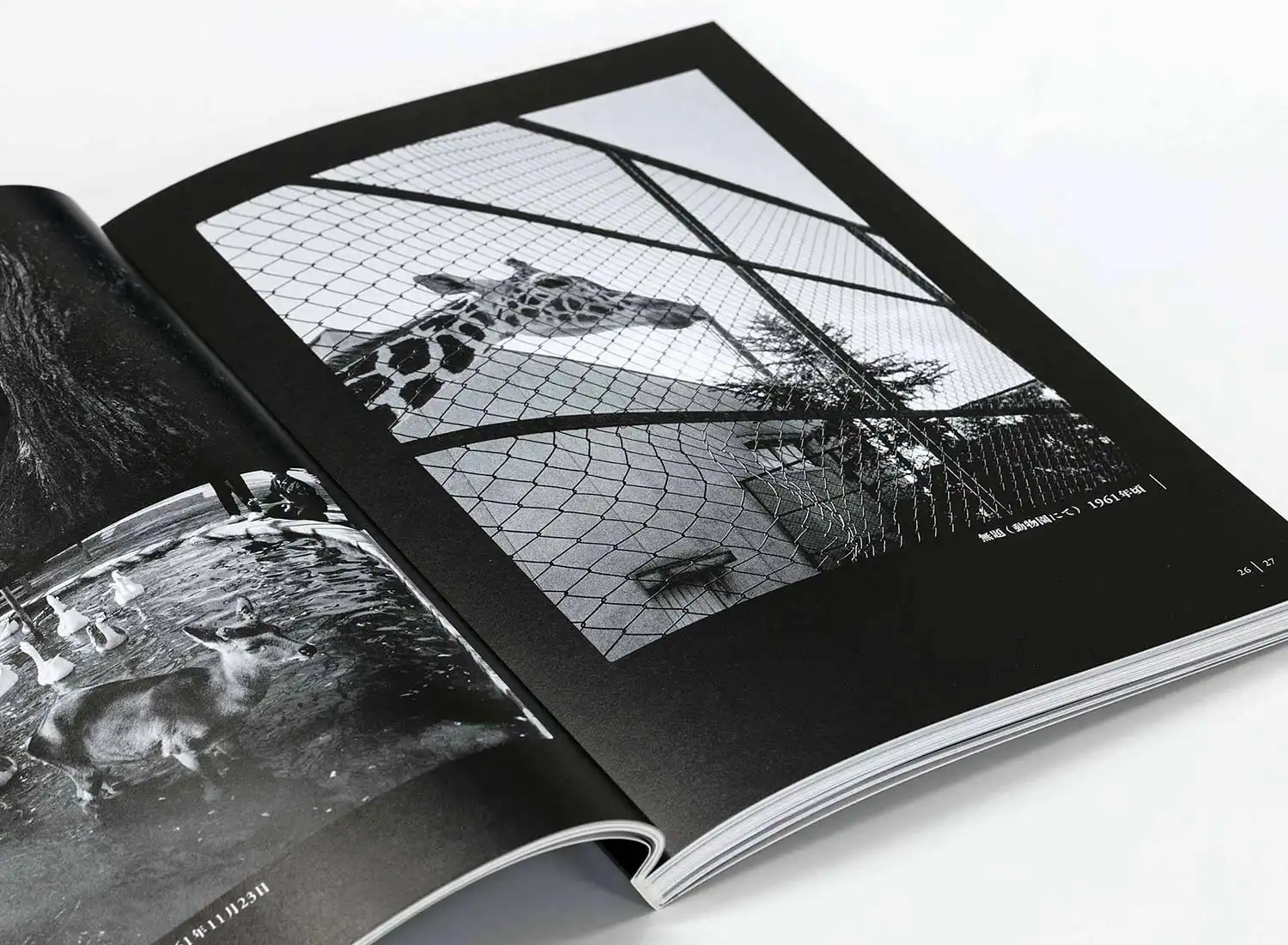 カメラを手にした前衛陶芸家 八木一夫の写真 京都国立近代美術館